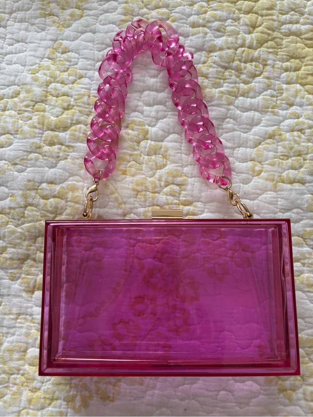 Acrylic Box Clutch with Chain Handle NWOT
